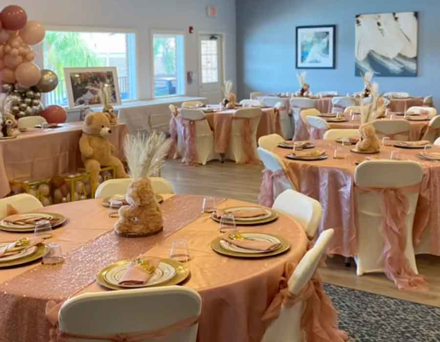 Party Event Rentals in Wesley Chapel